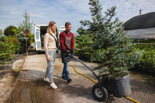 Best Tree Health Inspection  in Mason Neck, VA